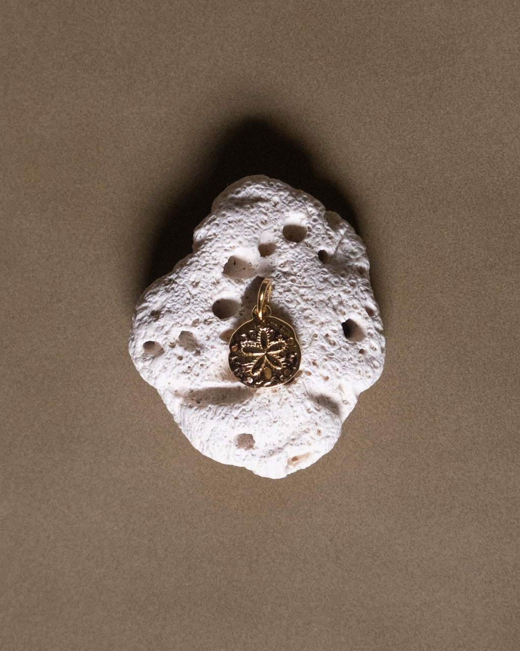 Sand Dollar Charm